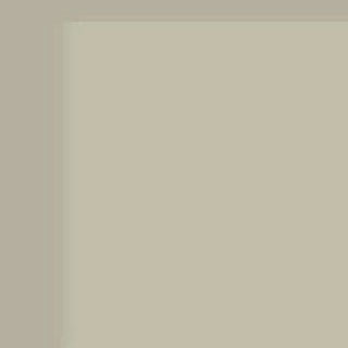 462 Platino