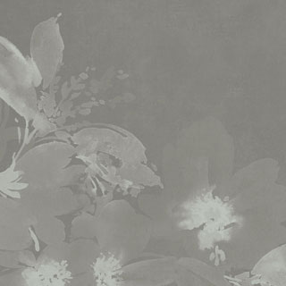 Flower_04