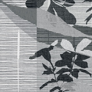 2009