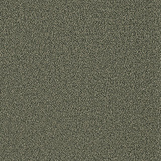 Multicolor 435 Bosco