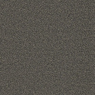 Multicolor 484 Grigio Scuro